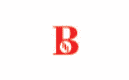 Binal Options Logo
