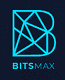 BitsMax Logo
