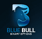BlueBull.Trade Logo