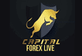CapitalForex Logo