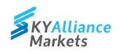 SkyAllianceMarkets Logo