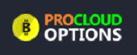 procloudoptions.online Logo