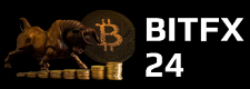 BitFx 247 Logo