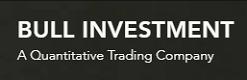 Bull Investment Singapore Logo