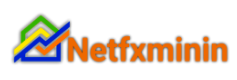 Netfxminin Logo