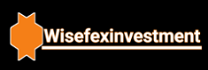 Wisefexinvestmentfirm Logo