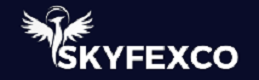 SkyFexCo Logo