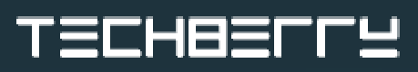 techberry.online Logo